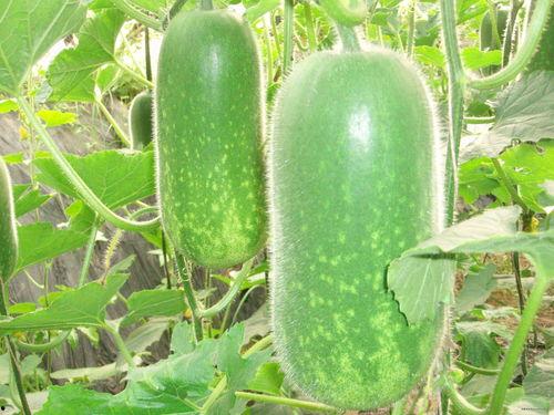 极东吃瓜,揭秘娱乐圈背后的那些事儿