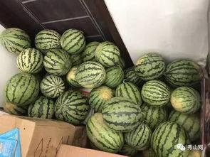 巨野谢苗苗吃瓜视频,揭秘幕后故事