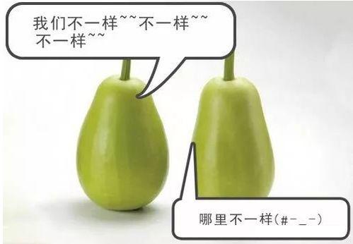 吃瓜的警示视频,揭秘警示视频背后的真相与启示