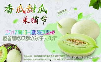 南阳人吃瓜,探寻当地独特的饮食文化