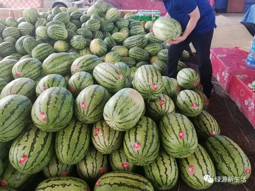 黄金店吃瓜,揭秘娱乐圈背后的秘密与八卦