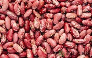 亳州花谷吃瓜,瓜果飘香，夏日田园美食之旅